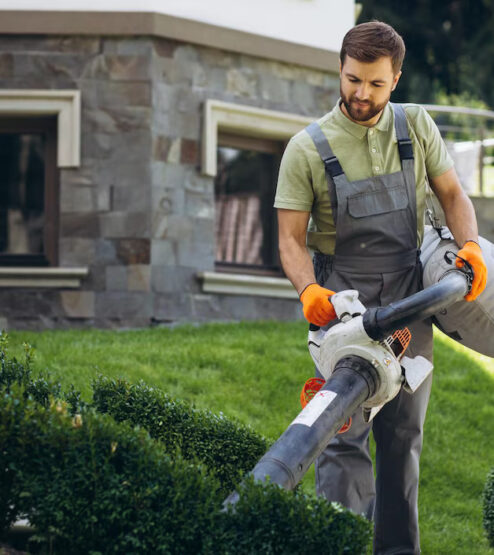garden-worker-vacuuming-leaves-from-yard-stairs_732190-2480